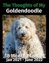 The Thoughts of My Goldendoodle