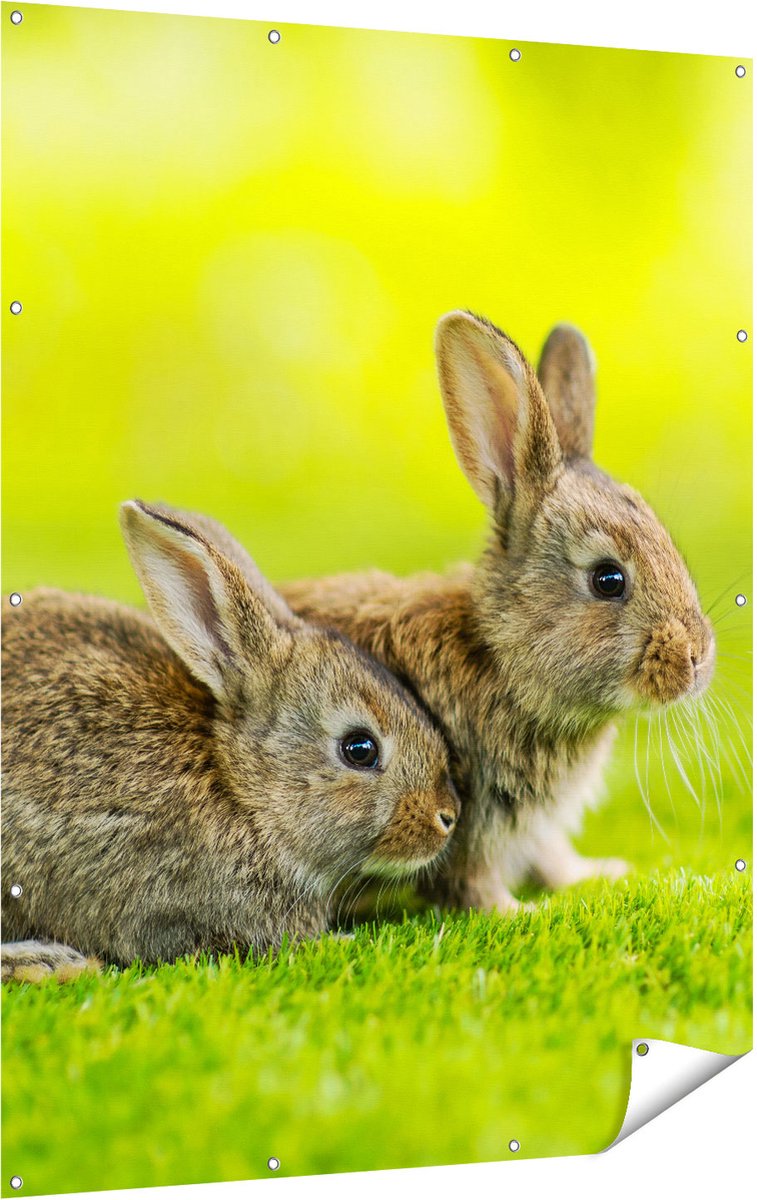 Gards Tuinposter Twee Konijnen op het Groene Gras - 120x160 cm - Tuindoek - Tuindecoratie - Wanddecoratie buiten - Tuinschilderij Multikleur
