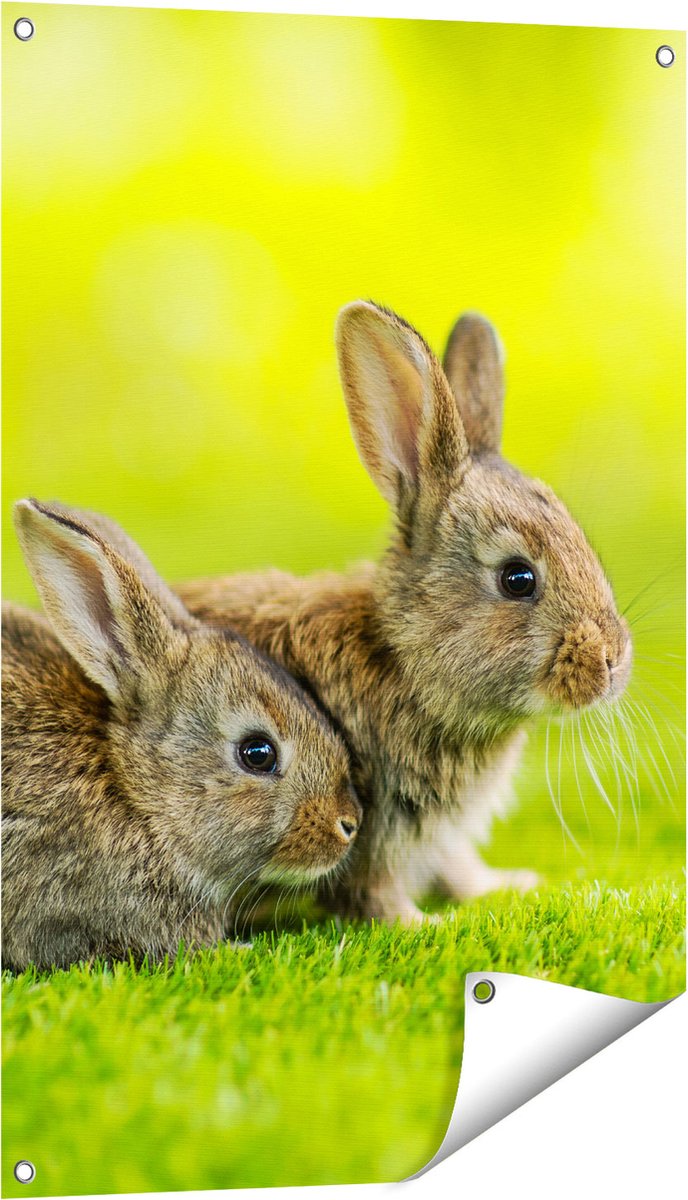 Gards Tuinposter Twee Konijnen op het Groene Gras - 60x90 cm - Tuindoek - Tuindecoratie - Wanddecoratie buiten - Tuinschilderij Multikleur