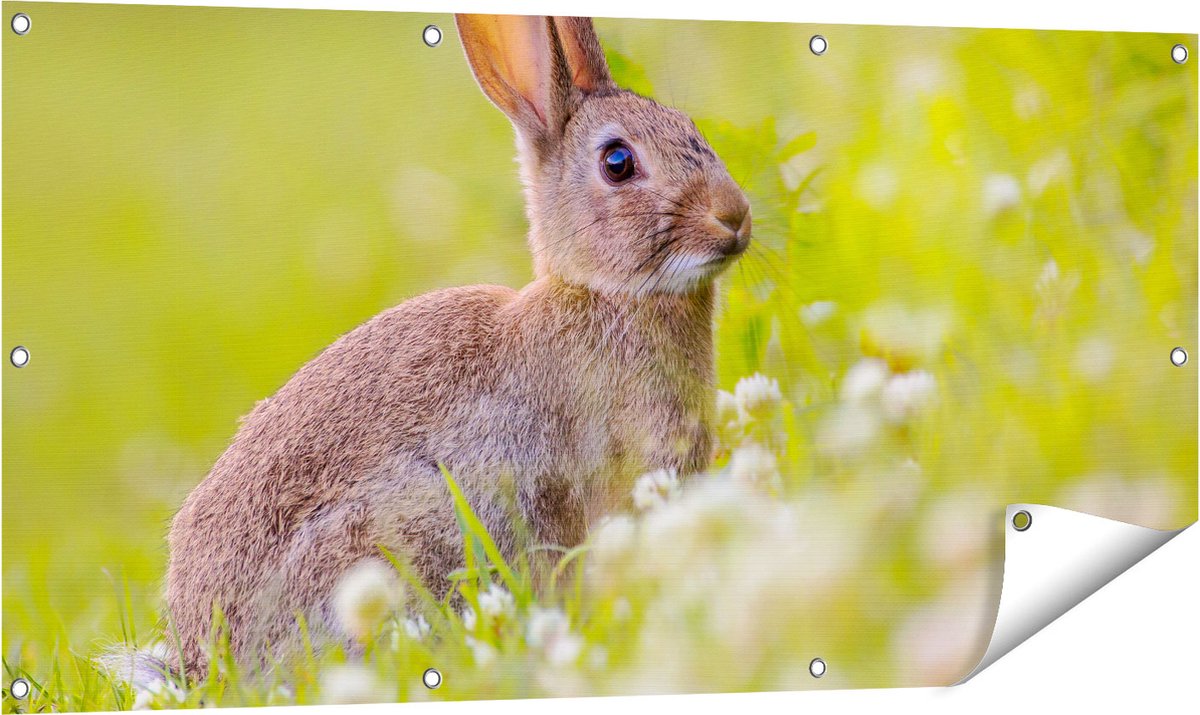 Gards Tuinposter Konijn tussen de Witte Bloemen - 120x60 cm - Tuindoek - Tuindecoratie - Wanddecoratie buiten - Tuinschilderij Multikleur