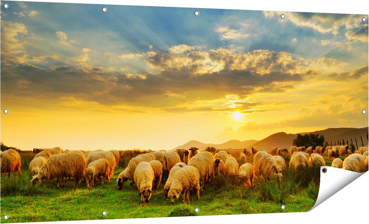 Gards Tuinposter Kudde Schapen op het Gras bij Zonsondergang - 160x80 cm - Tuindoek - Tuindecoratie - Wanddecoratie buiten - Tuinschilderij Multikleur