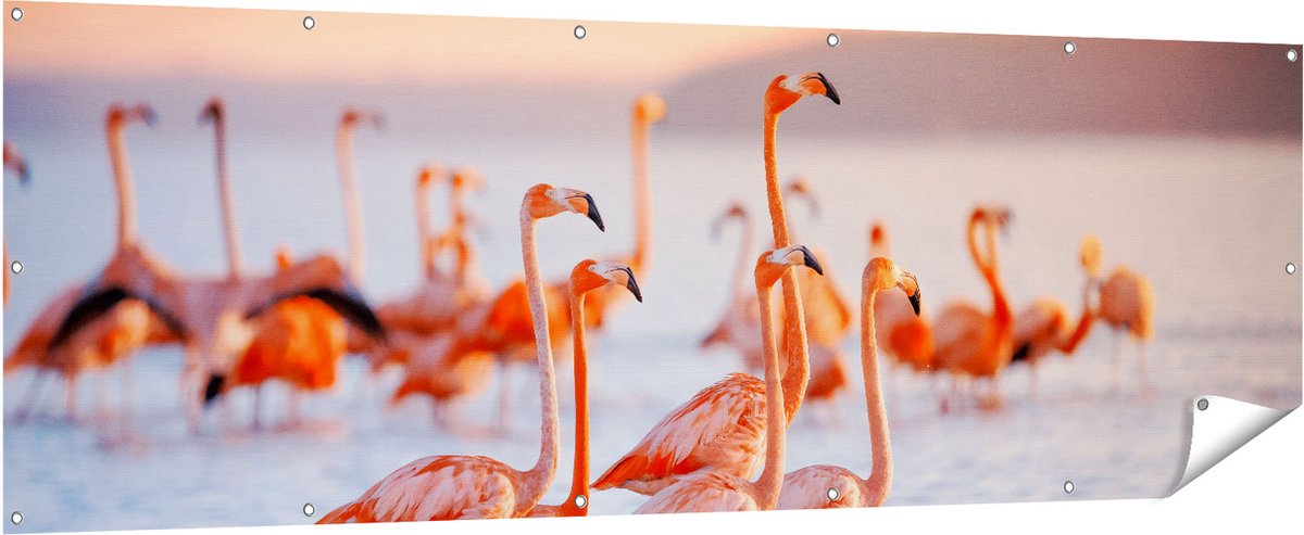Gards Tuinposter Kudde Flamingo's in het Water - 210x70 cm - Tuindoek - Tuindecoratie - Wanddecoratie buiten - Tuinschilderij Multikleur