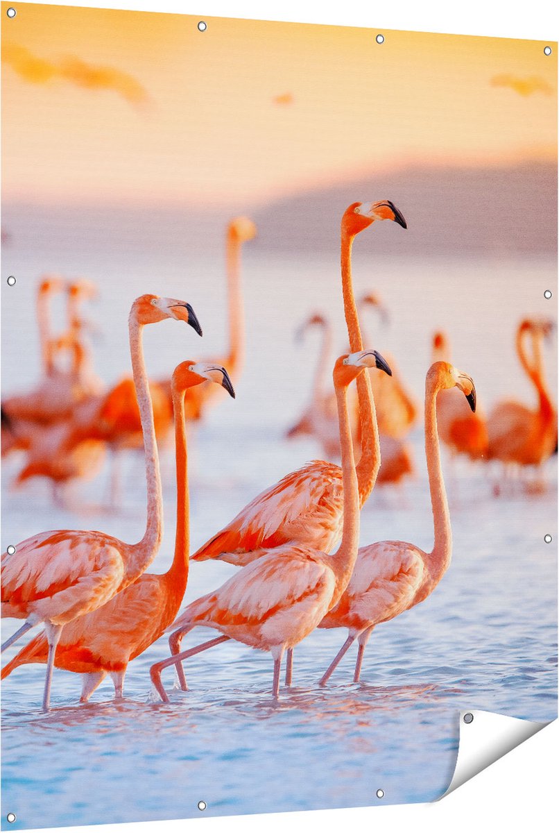 Gards Tuinposter Kudde Flamingo's in het Water - 120x150 cm - Tuindoek - Tuindecoratie - Wanddecoratie buiten - Tuinschilderij Multikleur