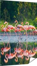 Gards Tuinposter Kudde Flamingo's op het Water - 100x150 cm - Tuindoek - Tuindecoratie - Wanddecoratie buiten - Tuinschilderij
