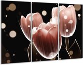 Glasschilderij Tulp - Bruin, Zwart - 120x80cm 3Luik - Foto Op Glas - Geen Acrylglas Schilderij - GroepArt 6000+ Glas Art Collectie - Maatwerk Mogelijk