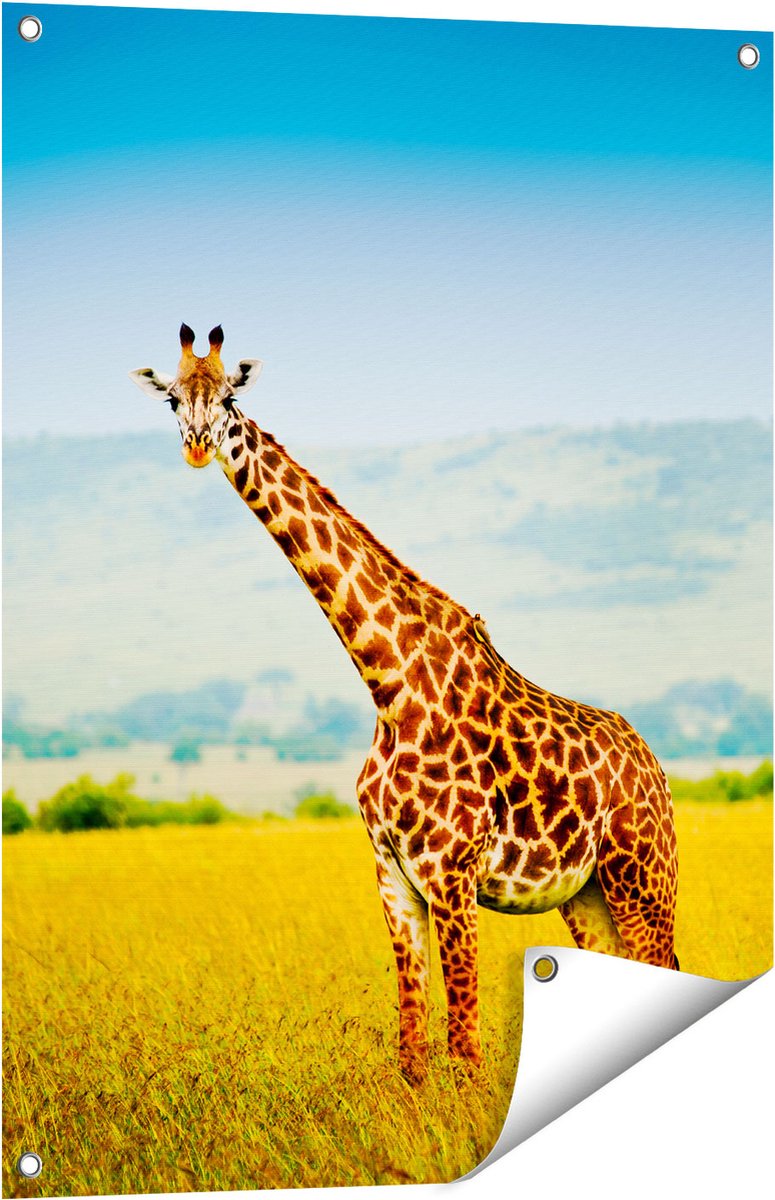 Gards Tuinposter Giraffe in het Veld - 60x80 cm - Tuindoek - Tuindecoratie - Wanddecoratie buiten - Tuinschilderij Multikleur
