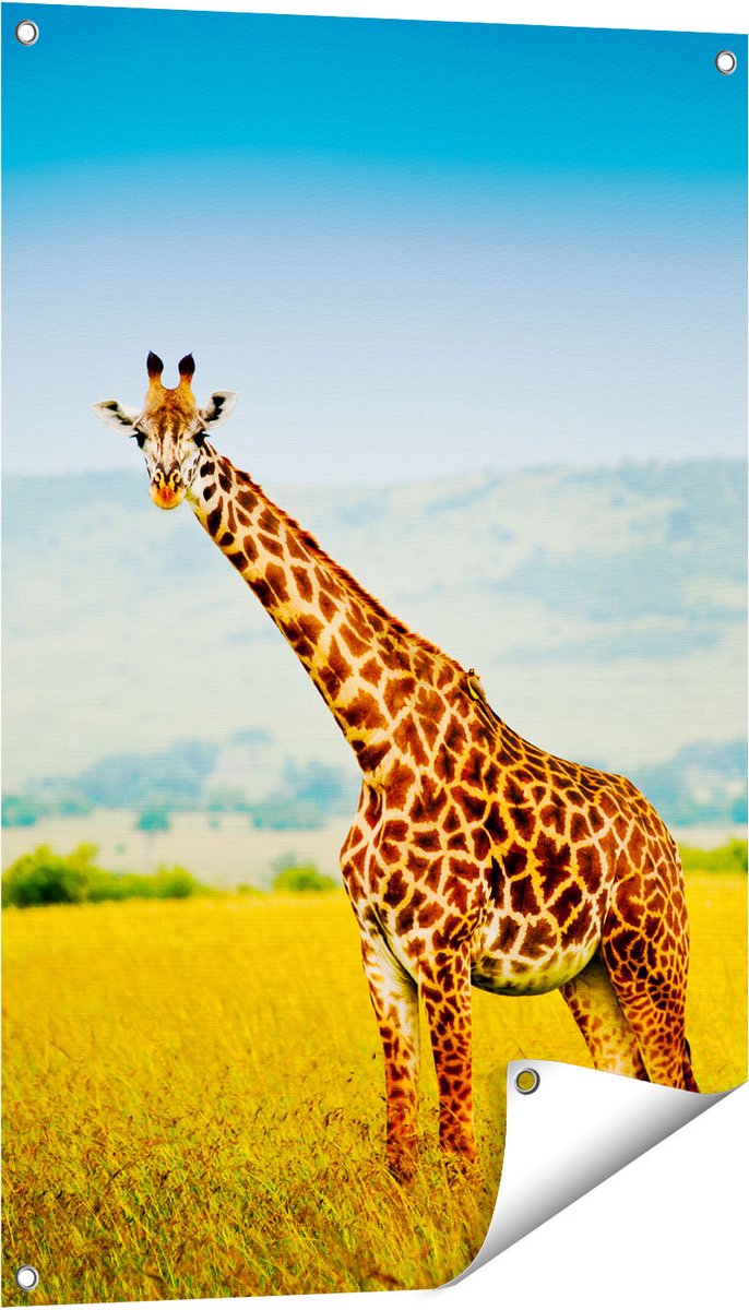 Gards Tuinposter Giraffe in het Veld - 60x90 cm - Tuindoek - Tuindecoratie - Wanddecoratie buiten - Tuinschilderij Multikleur