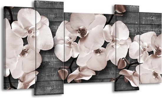 GroepArt - Schilderij - Orchidee, Bloemen - Grijs - 120x65cm 5Luik - Foto Op Canvas - GroepArt 6000+ Schilderijen 0p Canvas Art Collectie - Wanddecoratie