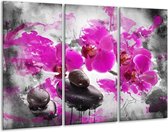 GroepArt - Schilderij -  Orchidee - Roze, Grijs, Wit - 120x80cm 3Luik - 6000+ Schilderijen 0p Canvas Art Collectie