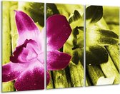 GroepArt - Schilderij -  Bloem - Roze, Groen, Wit - 120x80cm 3Luik - 6000+ Schilderijen 0p Canvas Art Collectie