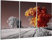 GroepArt - Schilderij -  Natuur - Geel, Grijs, Wit - 120x80cm 3Luik - 6000+ Schilderijen 0p Canvas Art Collectie