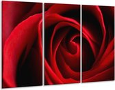 GroepArt - Schilderij -  Roos - Rood, Zwart - 120x80cm 3Luik - 6000+ Schilderijen 0p Canvas Art Collectie