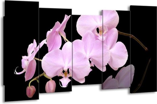 Canvas schilderij Orchidee | Roze, Wit, Zwart | | F002636