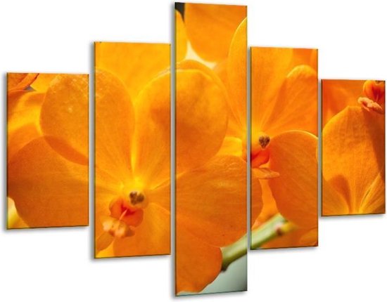 Glasschilderij Orchidee | Oranje, Geel | | Foto print op Glas |  F002648
