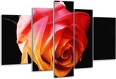 Glasschilderij Roos - Oranje, Rood, Zwart - 170x100cm 5Luik - Foto Op Glas - Geen Acrylglas Schilderij - 6000+ Glasschilderijen Collectie - Wanddecoratie
