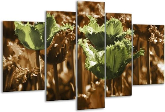 Glasschilderij Tulpen - Groen, Bruin - 170x100cm 5Luik - Foto Op Glas - Geen Acrylglas Schilderij - 6000+ Glasschilderijen Collectie - Wanddecoratie