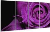 Peinture sur verre rose | Violet, noir | 160x80cm 4 Liège | Tirage photo sur verre |  F004153