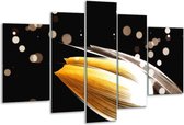 Glasschilderij Tulp - Oranje, Zwart - 170x100cm 5Luik - Foto Op Glas - Geen Acrylglas Schilderij - 6000+ Glasschilderijen Collectie - Wanddecoratie