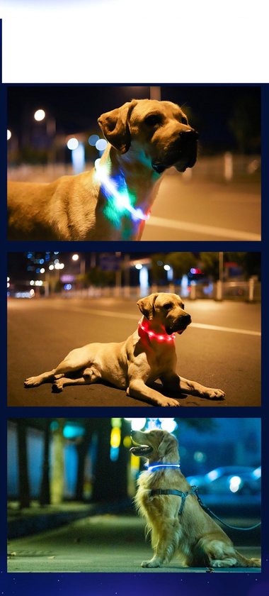 Honden led halsband - Halsband - Led - Hond - Usb - Oplaadbaar - Groen of Blauw