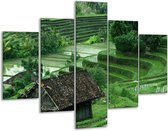 Glasschilderij -  Natuur - Groen, Wit, - 100x70cm 5Luik - Geen Acrylglas Schilderij - GroepArt 6000+ Glasschilderijen Collectie - Wanddecoratie- Foto Op Glas