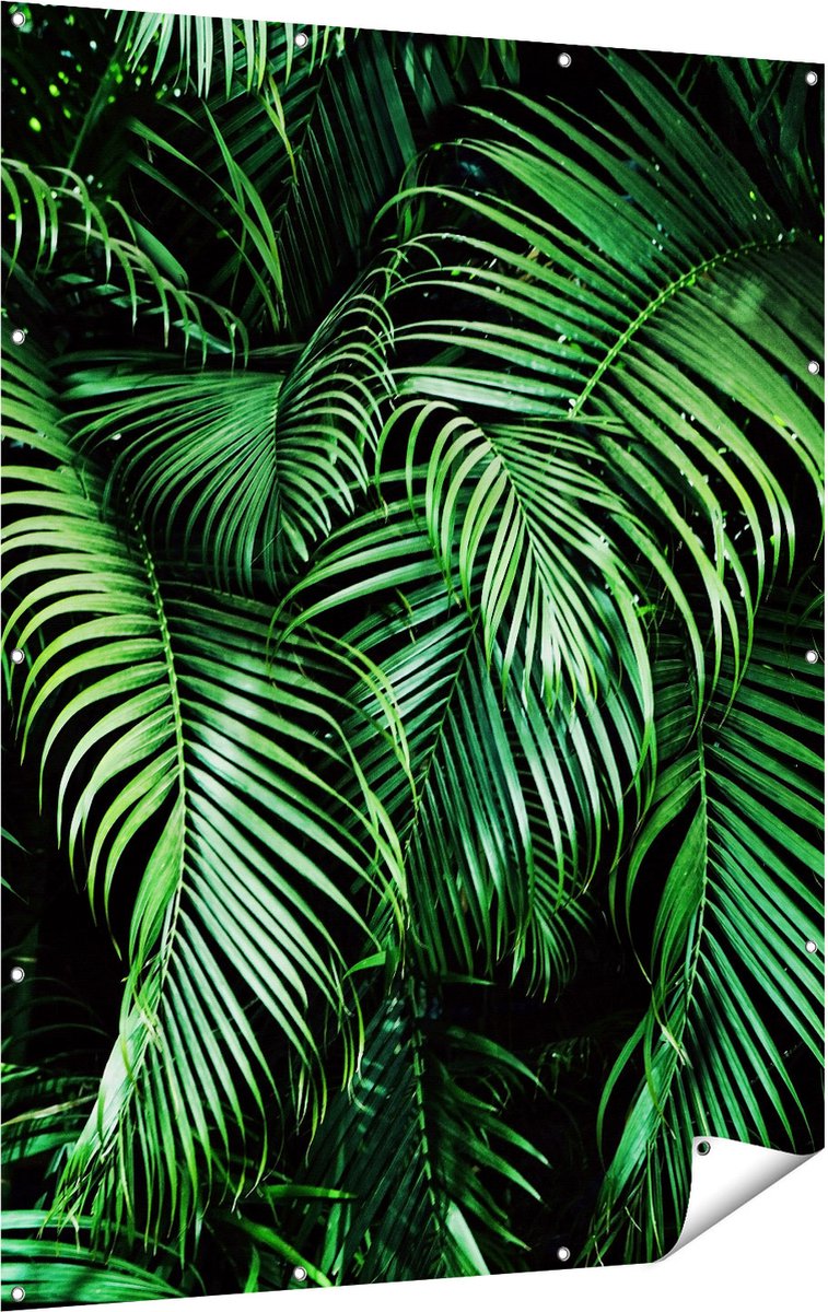 Gards Tuinposter Tropische Palm Bladeren - Groen - 120x160 cm - Tuindoek - Tuindecoratie - Wanddecoratie buiten - Tuinschilderij Multikleur