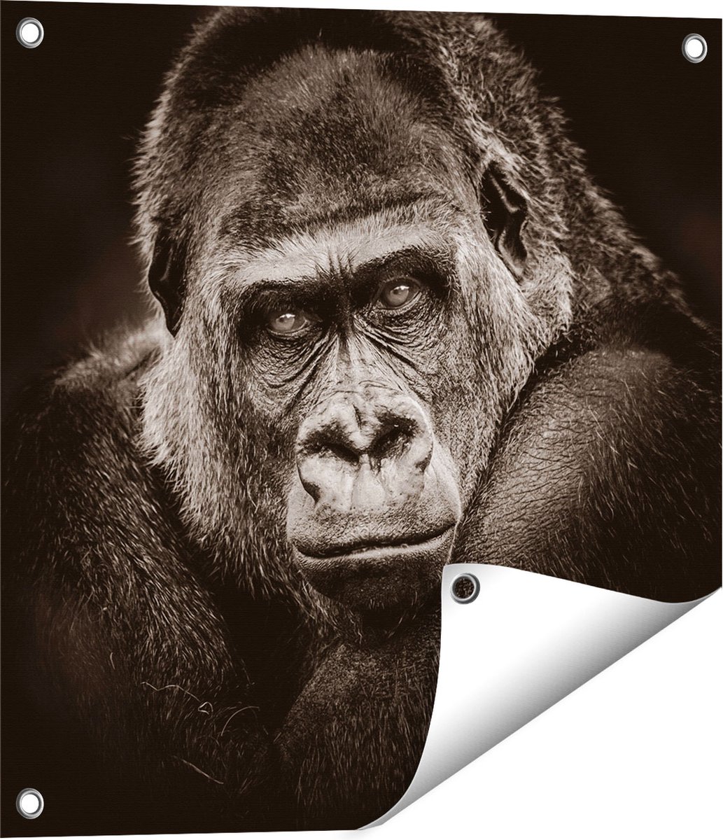 Gards Tuinposter Gorilla - Zwart Wit - 50x50 cm - Tuindoek - Tuindecoratie - Wanddecoratie buiten - Tuinschilderij Multikleur