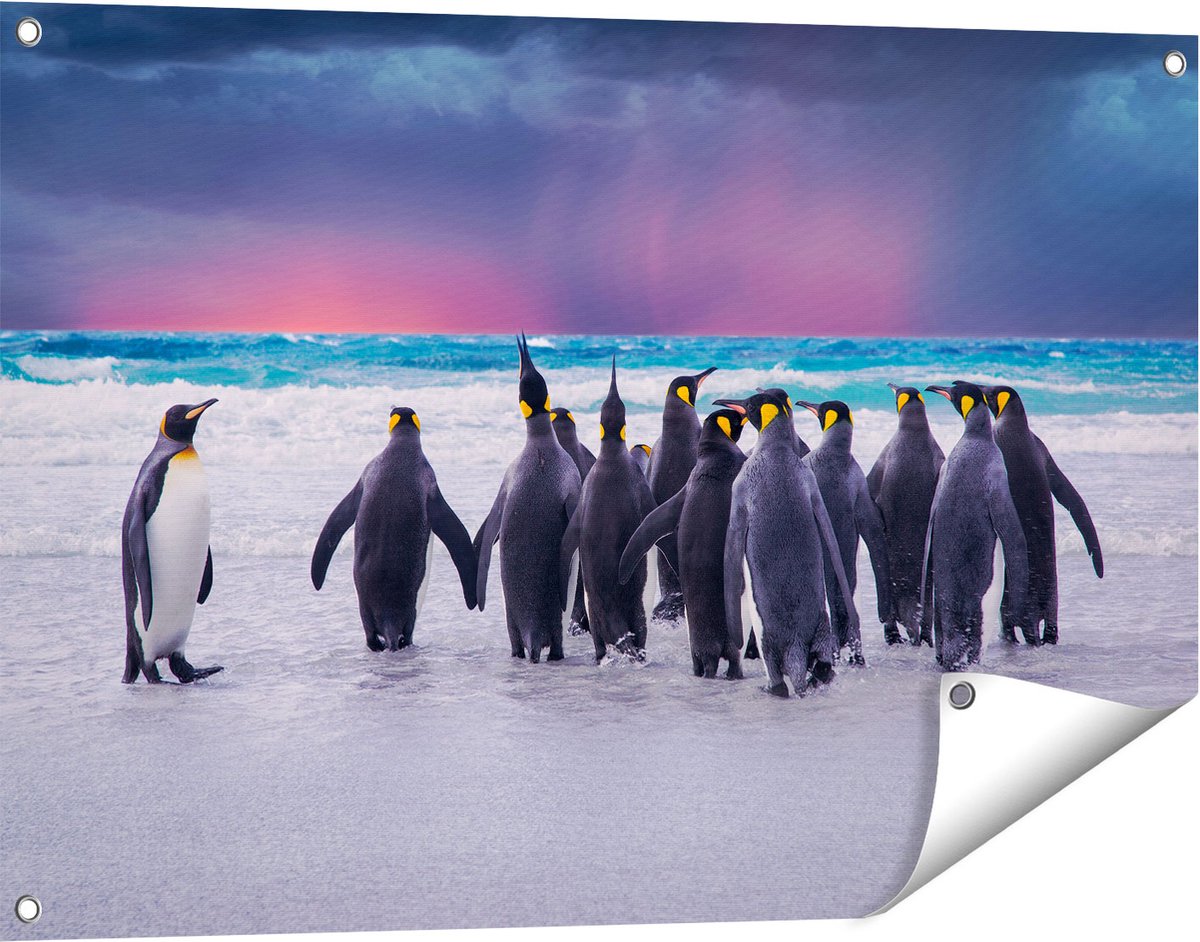 Gards Tuinposter Groep Pingu�ns bij het Water - Kudde - 90x60 cm - Tuindoek - Tuindecoratie - Wanddecoratie buiten - Tuinschilderij Multikleur