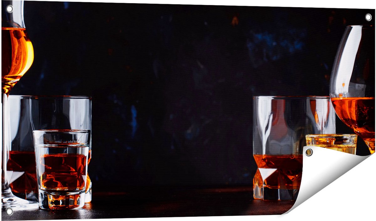 Gards Tuinposter Sterke Alcohol Drank - Glazen - 100x50 cm - Tuindoek - Tuindecoratie - Wanddecoratie buiten - Tuinschilderij Multikleur