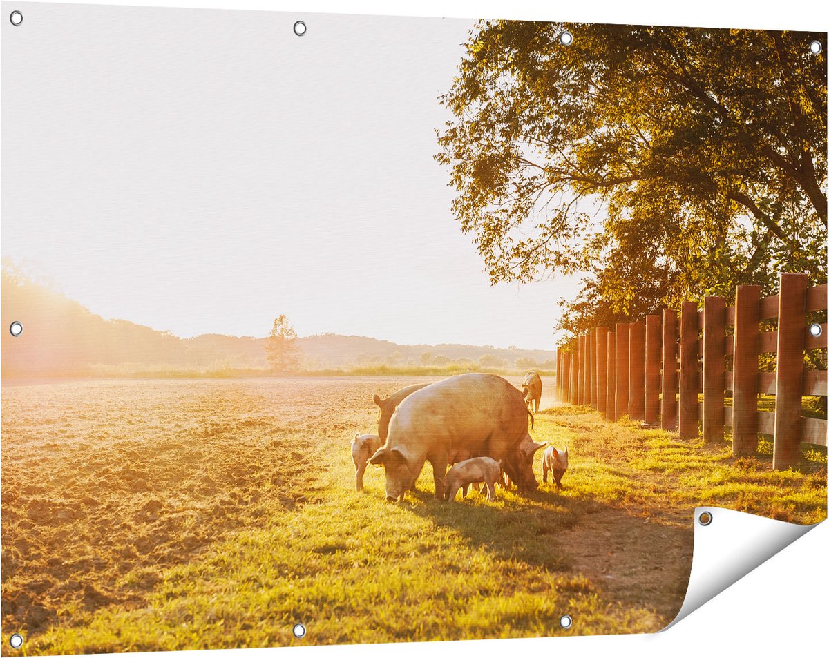 Gards Tuinposter Varken Familie - Varkens - 120x80 cm - Tuindoek - Tuindecoratie - Wanddecoratie buiten - Tuinschilderij Multikleur