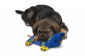 Petstages - puppy cuddle pal