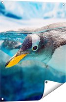 Gards Tuinposter Pingu�n Zwemt onder Water - 60x80 cm - Tuindoek - Tuindecoratie - Wanddecoratie buiten - Tuinschilderij
