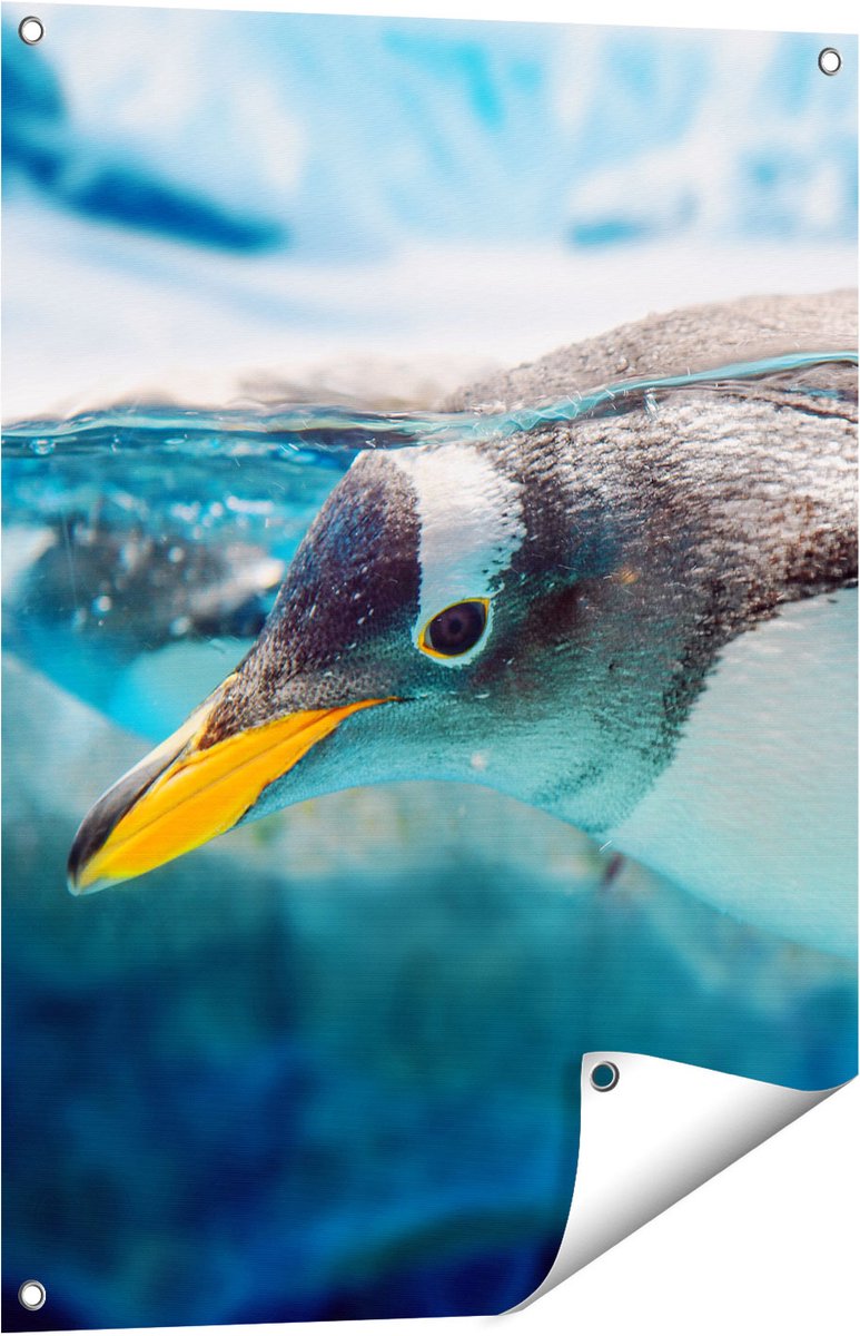 Gards Tuinposter Pingu�n Zwemt onder Water - 60x80 cm - Tuindoek - Tuindecoratie - Wanddecoratie buiten - Tuinschilderij Multikleur