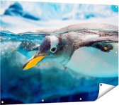 Gards Tuinposter Pingu�n Zwemt onder Water - 120x90 cm - Tuindoek - Tuindecoratie - Wanddecoratie buiten - Tuinschilderij
