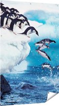 Gards Tuinposter Kudde Pingu�ns Springen vanaf een Rots - 100x150 cm - Tuindoek - Tuindecoratie - Wanddecoratie buiten - Tuinschilderij
