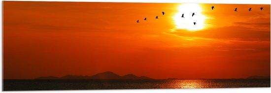 Acrylglas - Silhouet van Zwerm Vogels bij Zonsondergang boven de Zee - 120x40 cm Foto op Acrylglas (Wanddecoratie op Acrylaat)