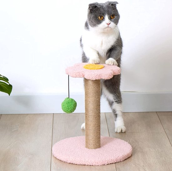 Kattenspeelplaats accessoires kattenplank slijtvast kattenplatform meubels speelgoed massief hout krabpaal voor katten kitten krabpaal kattenboom kattenplank