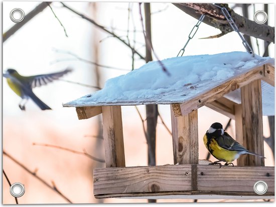 Tuinposter – Koolmeesje in Vogelhuisje op Winterse Dag - 40x30 cm Foto op Tuinposter (wanddecoratie voor buiten en binnen)
