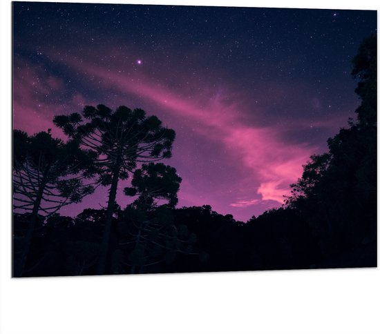 Dibond - Paars Gekleurde Lucht boven Silhouet van Bomen - 100x75 cm Foto op Aluminium (Wanddecoratie van metaal)