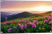 Tuinposter – Roze Bloemen op de Bergen van Landschap tijdens Zonsopkomst - 90x60 cm Foto op Tuinposter (wanddecoratie voor buiten en binnen)