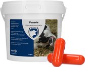 Excellent Pessaria Capsule - Ter ondersteuning van de reiniging van de baarmoeder en inwendige delen van de schede - Geschikt voor rundvee, schapen en geiten - 12 stuks