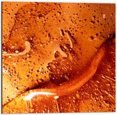 Dibond - Textuur in Mix van Oranje Tinten - 50x50 cm Foto op Aluminium (Wanddecoratie van metaal)