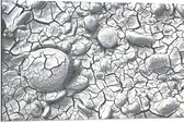 Dibond - Scheuren Patroon in Stenen Ondergrond - 90x60 cm Foto op Aluminium (Met Ophangsysteem)