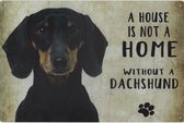 Wandbord Dieren - A House Is Not A Home Without A Dachshund