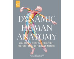 Dynamic Human Anatomy: An Artist's Guide to Structure, Gesture, and the Figure in Motion