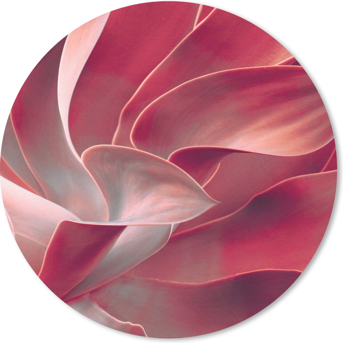 Muismat rond 20x20 cm - Mousepad Stilleven - Bladeren - Plant - Roze - Ronde muismatten