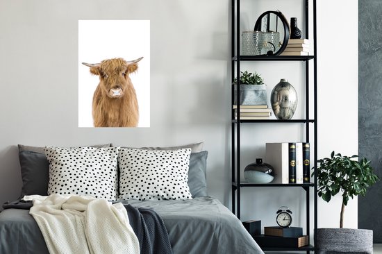 Highlander écossais - Animaux - Marron - Nature