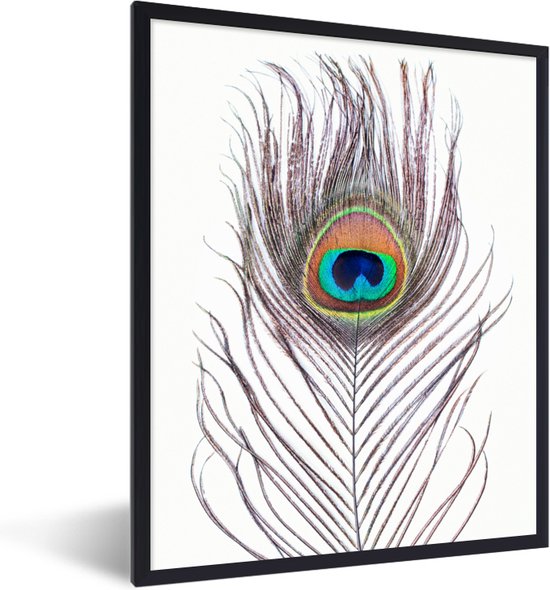 Fotolijst incl. Poster - Pauwenveren - Blauw - Veer - Pauw - Dieren - 60x80 cm - Posterlijst
