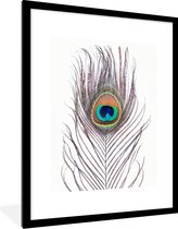 Fotolijst incl. Poster - Pauwenveren - Blauw - Veer - Pauw - Dieren - 60x80 cm - Posterlijst