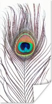 Poster Pauwenveren - Blauw - Veer - Pauw - Dieren - 75x150 cm