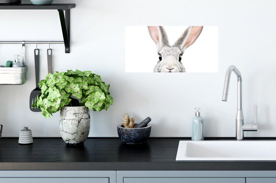 Poster Lapin - Animaux - Nature - Wit - 40x20 cm